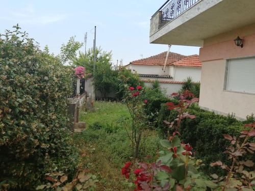 Nansy's house Nansy's house