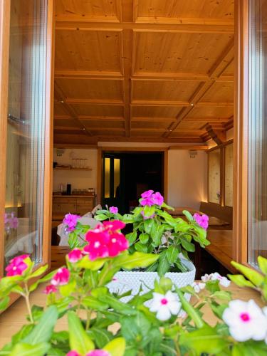 Neider Hotel - Alpine Retreat Sauris – Sauris, FL