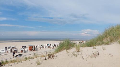 Friesenrose Nord in Spiekeroog