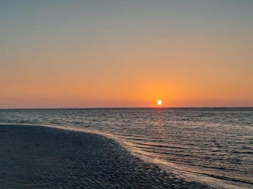 Friesenrose Nord in Spiekeroog