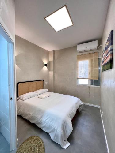 Suite N25 Room Type - Luxury Quadruple Room