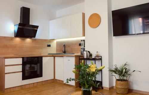 Apartman Luka, Požega