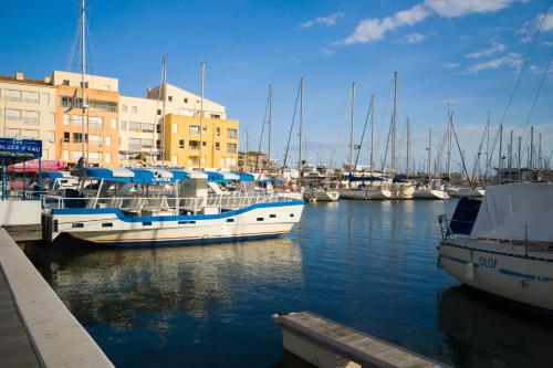 Vacancéole - Résidence Le Palmyra Golf - image 2