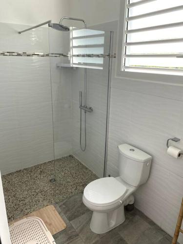 Tiny house paisible en campagne in Petit-Bourg