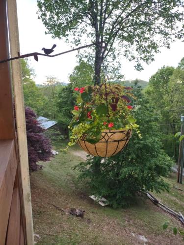Ridge Runner Retreat in Glenville, USA