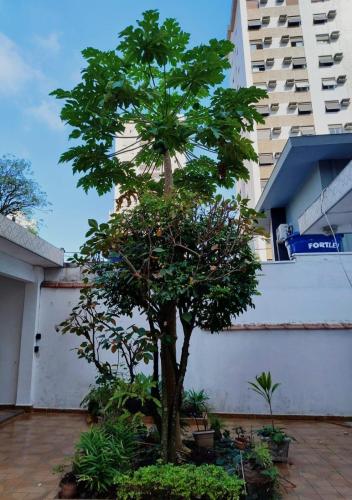 Casa espaçosa pertinho da praia - image 4