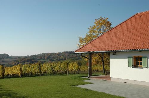 Country house Martinova Klet in 馬里博爾