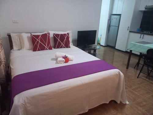 Studio Apartment in Namaka Nadi, Нади (фото 5)