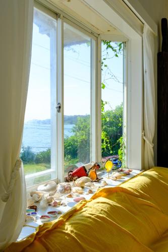 三浦バンビーノ