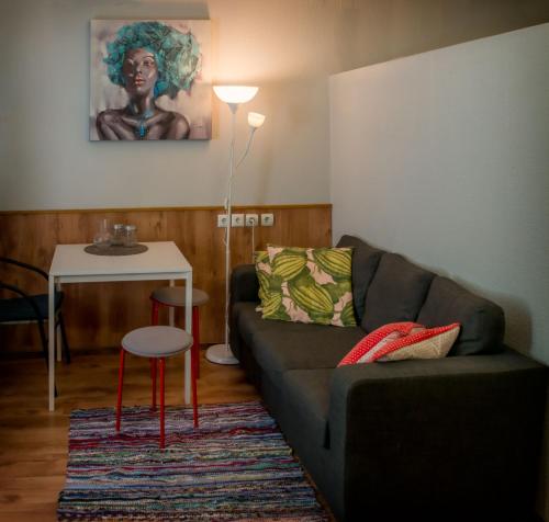 Bruņinieku Apartament 7, Rīga (photo 4)