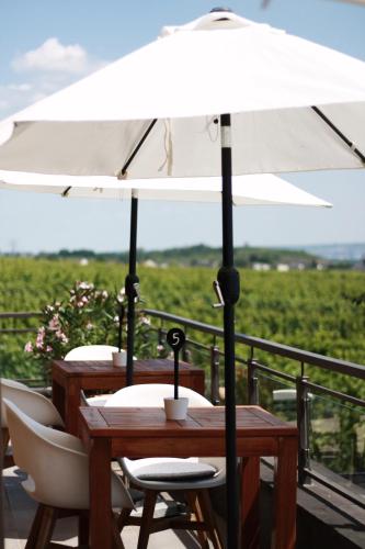 Weingut Magdalenenhof – Rüdesheim on the Rhine, MO