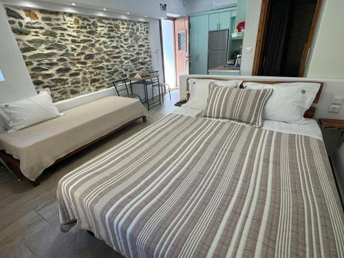 Myrsinis Studios in Chorto Pelion