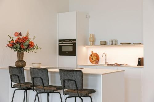 Huswell - Stunning seafront apartment with modern comforts and dike views, Ostende (fotografie 4)