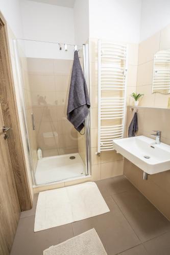 Sancová Street Suite, Братислава (фото 8)