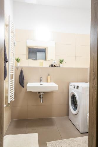 Sancová Street Suite, Братислава (фото 6)