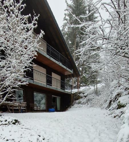 Ferienwohnung in Schönwald Schwarzwald