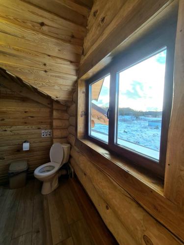 Cottage Radomyshl' - image 4