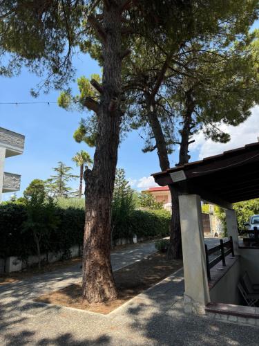 Villa Nina
