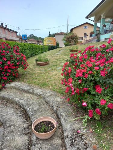 Viesnīcas āriene, Archi Di Sole in Ricco Del Golfo