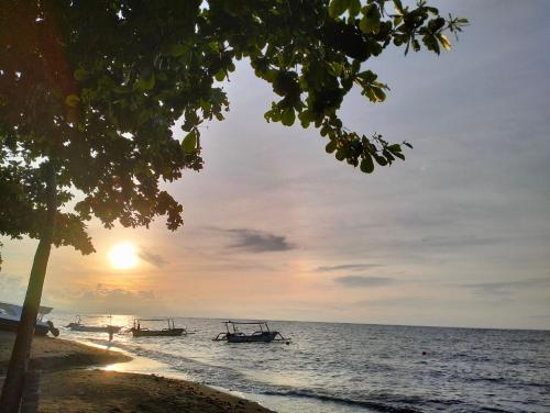 Kaia Lovina Guest House Kaia Lovina Guest House