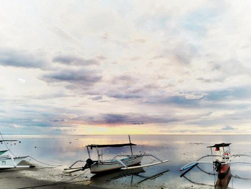 Kaia Lovina Guest House Kaia Lovina Guest House