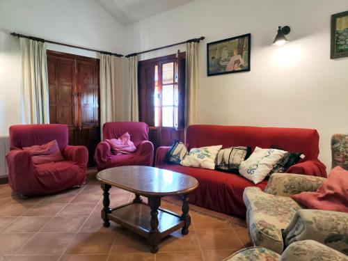 El Campito - CASA RURAL, Ронда (фото 10)