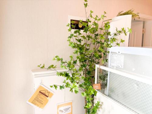 Stay Login Stay near Hongdae, Gwanghwamun, DMC & Sungnyemun, Soul (fotografie 3)