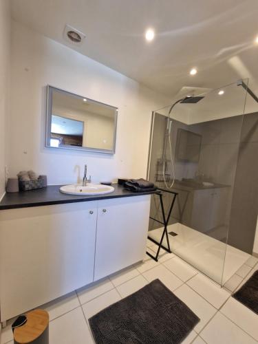 Appartement Atypique Saxel in Burdignin