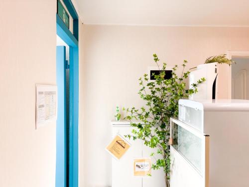 Stay Login Stay near Hongdae, Gwanghwamun, DMC & Sungnyemun, Soul (fotografie 9)