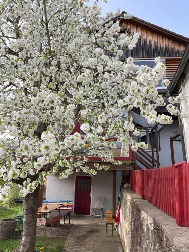 Obertraum Appartement und Ferienwohnung in Solnhofen, Deutschland