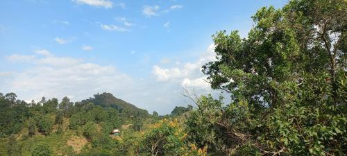 Double Room with Mountain View image 6