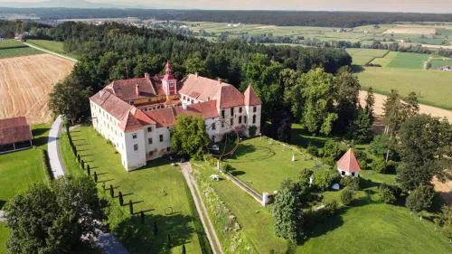 Cool Flat at Renaissance Castle - 3BR in Ilz, Österreich