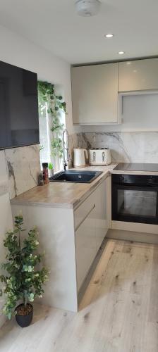 Kitchen, Cosy Bee in Queen's Park