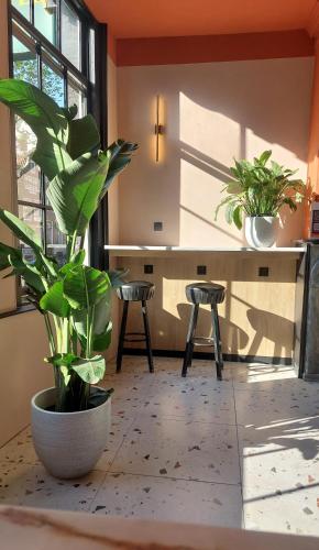 Heart of Amsterdam Hostel, Amsterdam (photo 10)