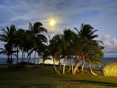 Kert, Comfort Nest in Kehena (HI)
