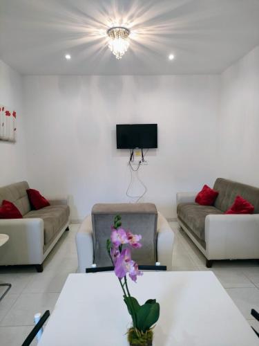 One-Bedroom Apartment - Non-Smoking