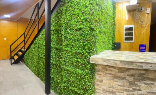 Ckayatar in คาลาม่า