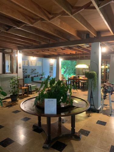 餐廳, Coquira Soil Project in 塞羅阿蘇爾