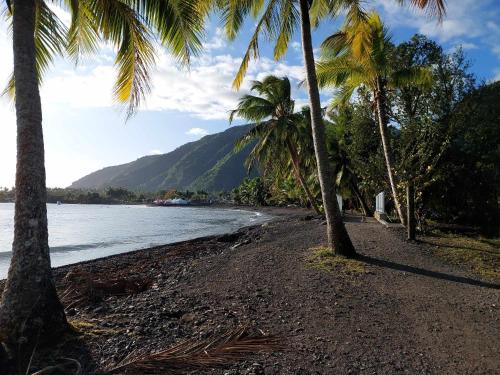 Beach, Villa ARIIMOANA in Toanoano