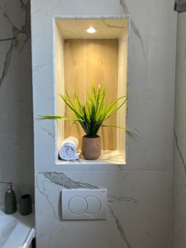 Apartment Luxury Explorer - image 11