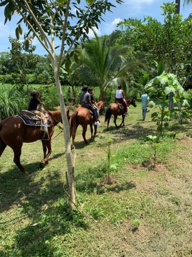 騎馬, Coquira Soil Project in 塞羅阿蘇爾