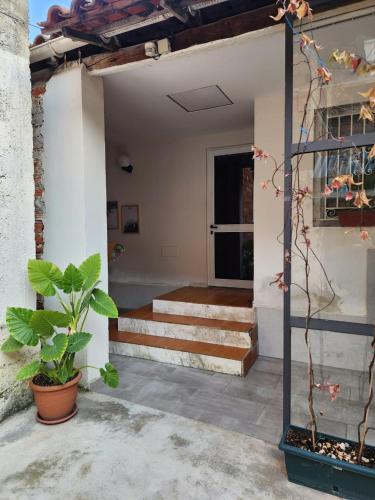 One-Bedroom Apartment image 10