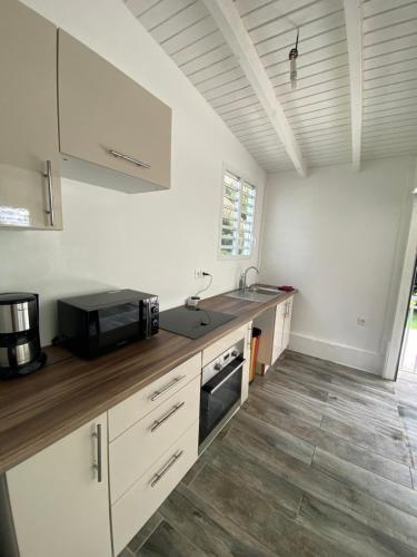 virtuve, Appartement paisible avec jardin in Lamentin