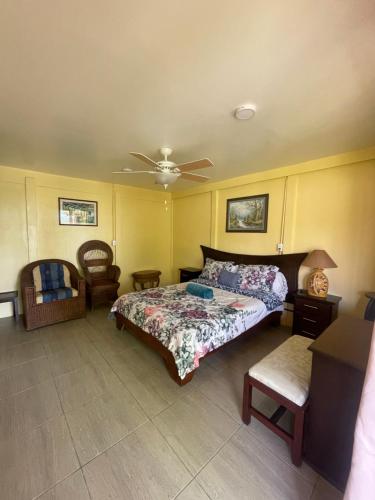 Hotel Tierra De Volcanes in Fortuna