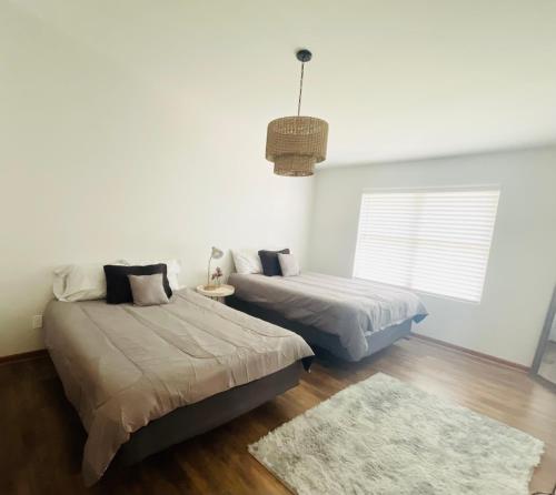 Modern 2BR Near Indiana Dunes, Beaches, Wineries, & downtown Chesterton in Porter, USA