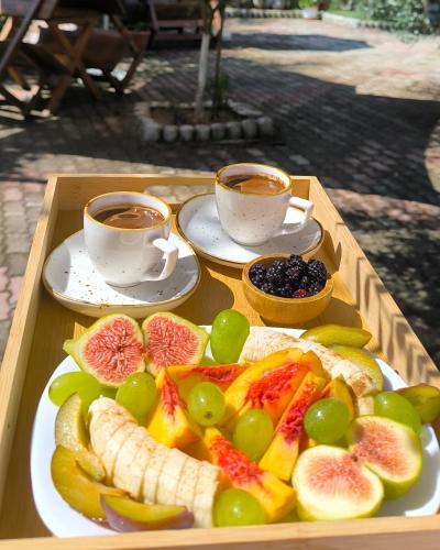 Elvish Garden Boutique B&B – Berat, IA