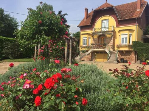 Bourgogne grande maison avec jardin à la française gîte à louer Lamarche-sur-Saône