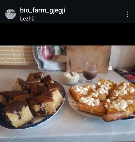 Camping & biofarm Gjegji in Tale
