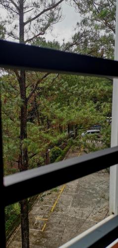 Misty Pines Homestay in Bakakeng