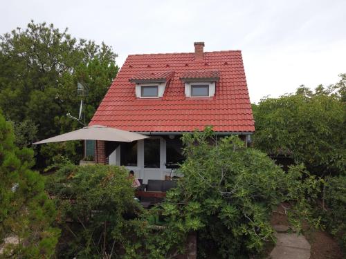 Fig Tree house